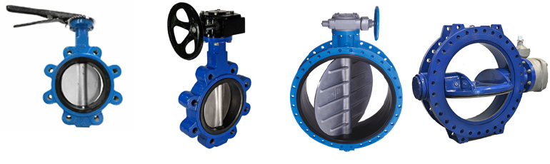 Valve for Ballast Water Treatment System